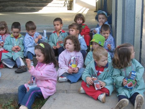 Preme para ver a foto ampliada