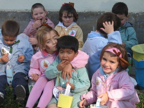 Preme para ver a foto ampliada