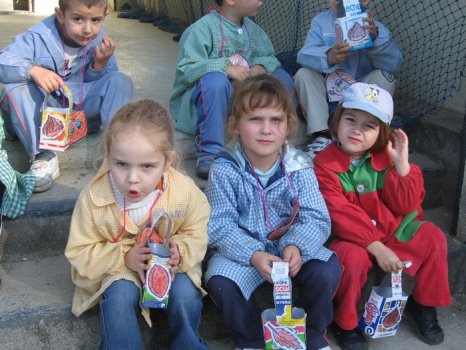 Preme para ver a foto ampliada