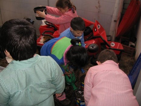 Preme para ver a foto ampliada