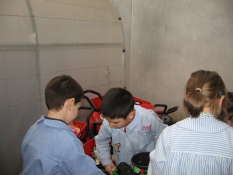 Preme para ver a foto ampliada