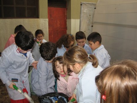 Preme para ver a foto ampliada