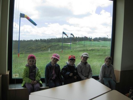 Preme para ver a foto ampliada