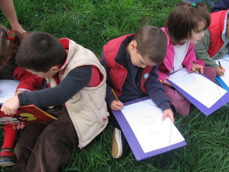 Preme para ver a foto ampliada