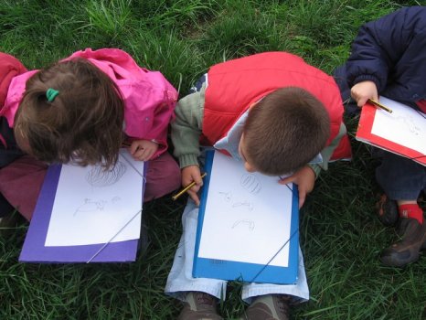 Preme para ver a foto ampliada