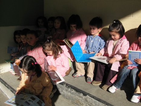 Preme para ver a foto ampliada