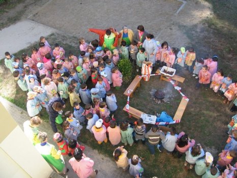 Preme para ver a foto ampliada