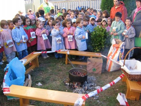 Preme para ver a foto ampliada