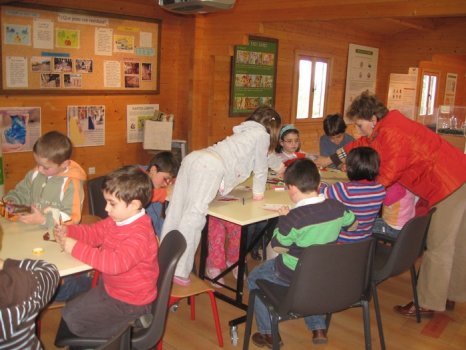 Preme para ver a foto ampliada