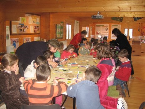 Preme para ver a foto ampliada