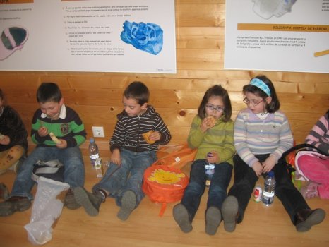 Preme para ver a foto ampliada