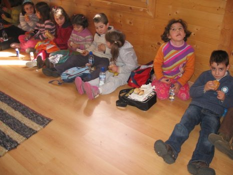 Preme para ver a foto ampliada