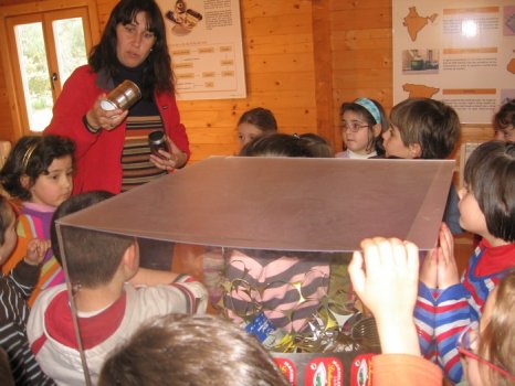 Preme para ver a foto ampliada