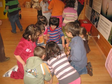 Preme para ver a foto ampliada