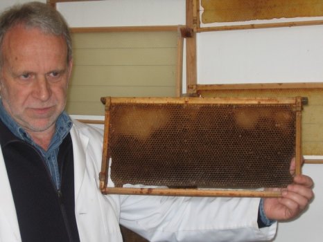 Preme para ver a foto ampliada