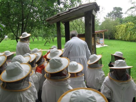 Preme para ver a foto ampliada