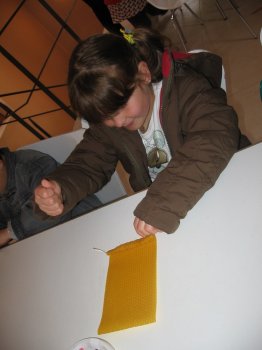 Preme para ver a foto ampliada