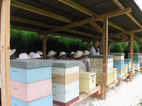 Preme para ver a foto ampliada