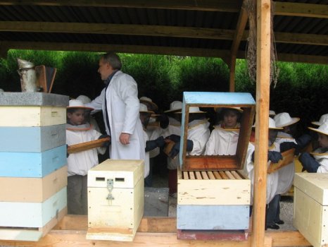 Preme para ver a foto ampliada