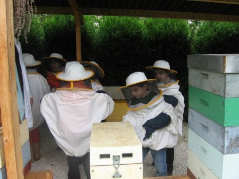 Preme para ver a foto ampliada