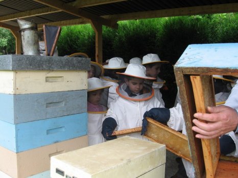 Preme para ver a foto ampliada