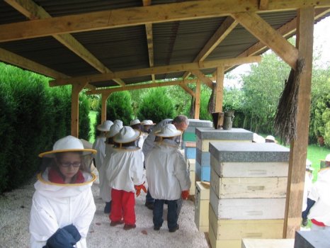 Preme para ver a foto ampliada