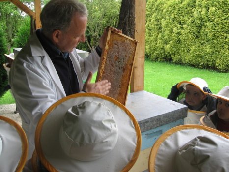 Preme para ver a foto ampliada