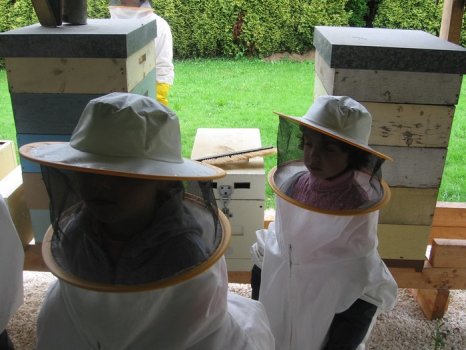 Preme para ver a foto ampliada