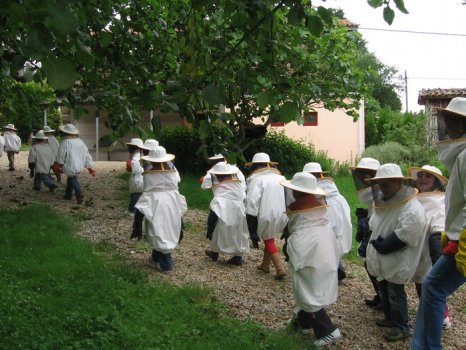 Preme para ver a foto ampliada