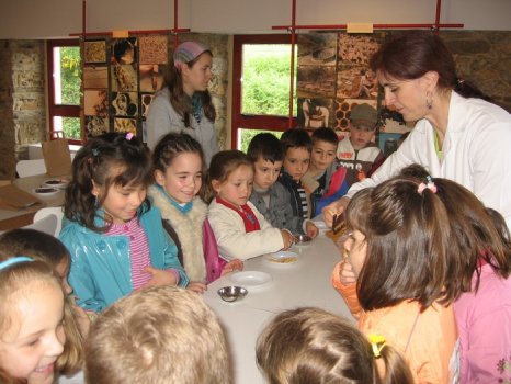 Preme para ver a foto ampliada