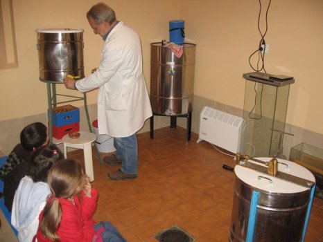 Preme para ver a foto ampliada