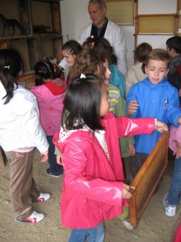 Preme para ver a foto ampliada