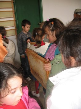 Preme para ver a foto ampliada