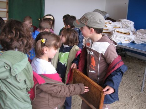 Preme para ver a foto ampliada