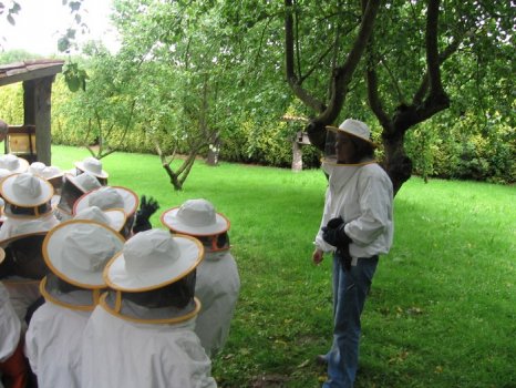 Preme para ver a foto ampliada