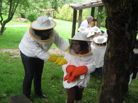 Preme para ver a foto ampliada