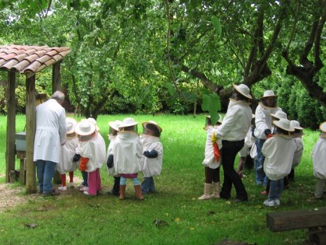 Preme para ver a foto ampliada