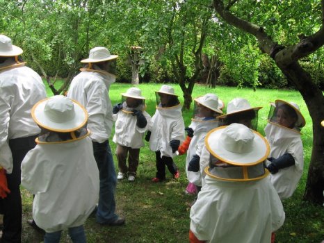 Preme para ver a foto ampliada