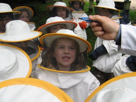 Preme para ver a foto ampliada