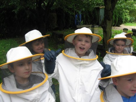 Preme para ver a foto ampliada