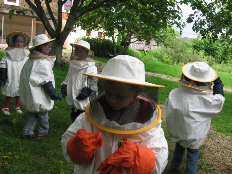 Preme para ver a foto ampliada