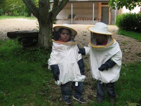 Preme para ver a foto ampliada