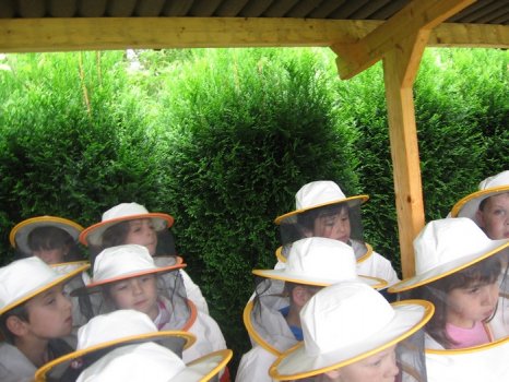 Preme para ver a foto ampliada