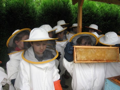 Preme para ver a foto ampliada