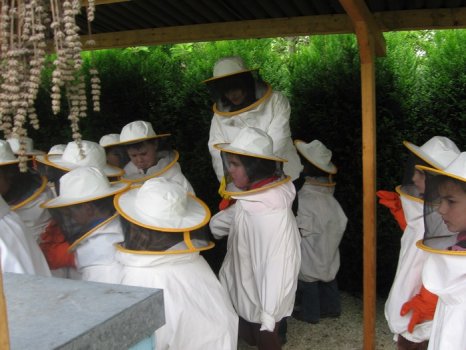 Preme para ver a foto ampliada