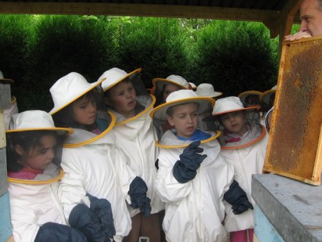 Preme para ver a foto ampliada