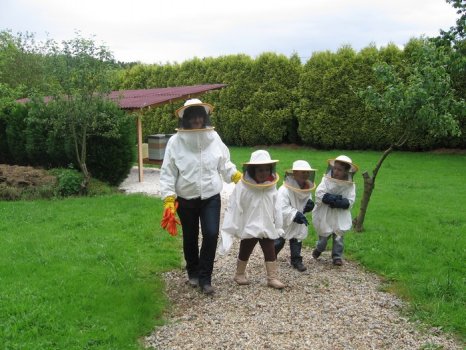 Preme para ver a foto ampliada