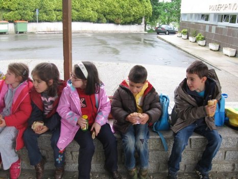 Preme para ver a foto ampliada