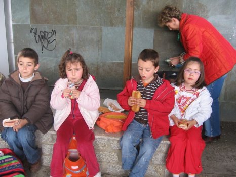 Preme para ver a foto ampliada