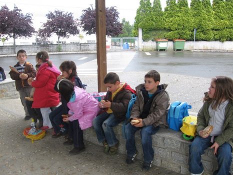 Preme para ver a foto ampliada